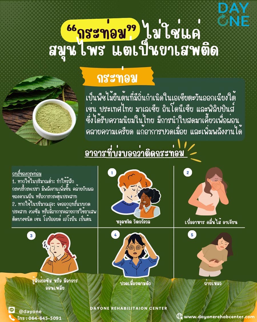 กระท่อม" ไม่ใช่แค่สมุนไพร แต่เป็นยาเสพติด